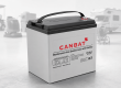 Trojan T-105 replacement battery